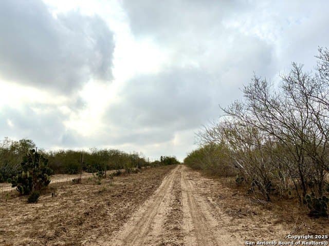 109 acres in Jim Wells County - photo 13