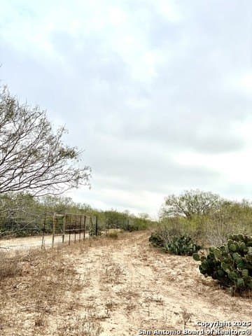 109 acres in Jim Wells County - photo 14