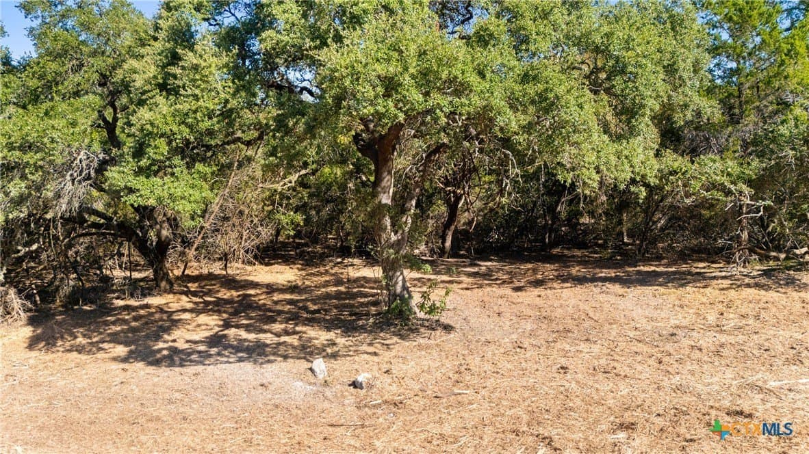 1.17 acres in Comal County - photo 22