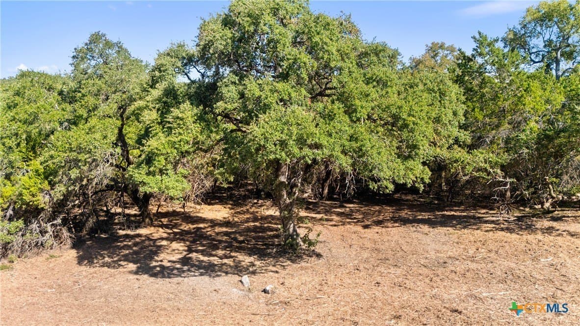 1.17 acres in Comal County - photo 23