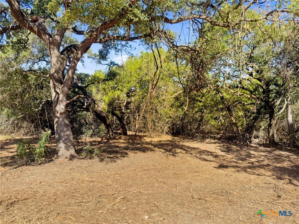 1.17 acres in Comal County - photo 2