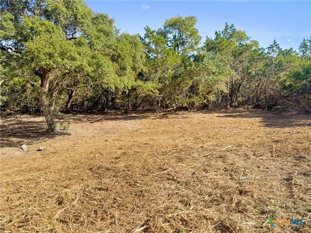 1.17 acres in Comal County - photo 14