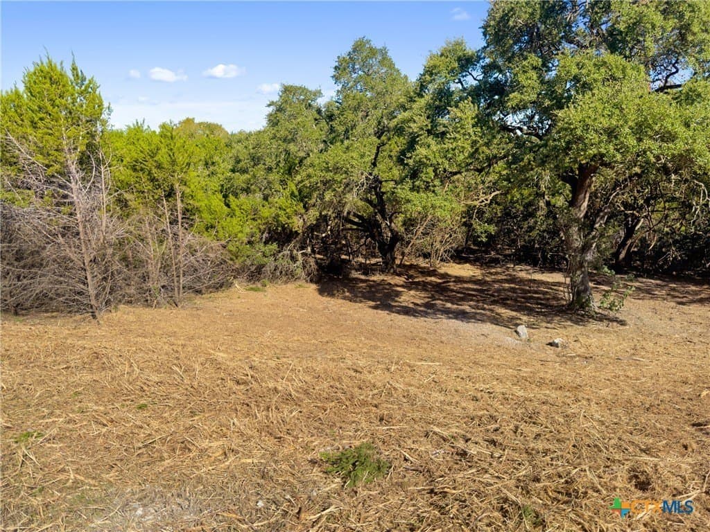 1.17 acres in Comal County - photo 16