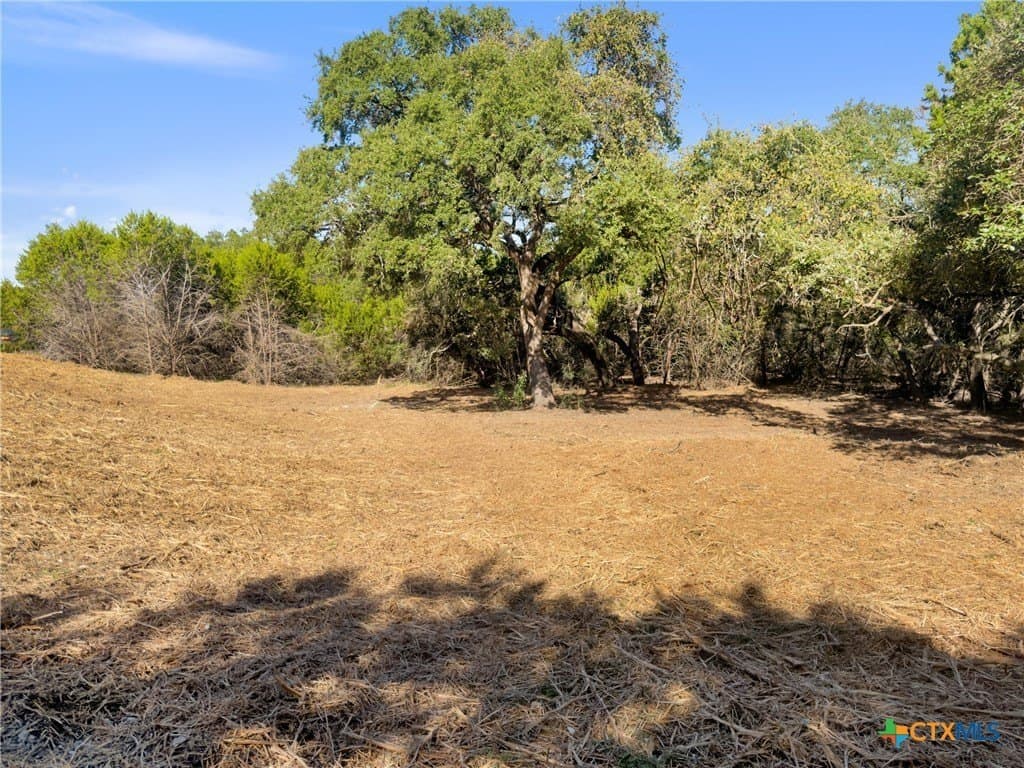 1.17 acres in Comal County - photo 13