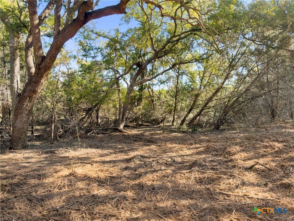 1.17 acres in Comal County - photo 11