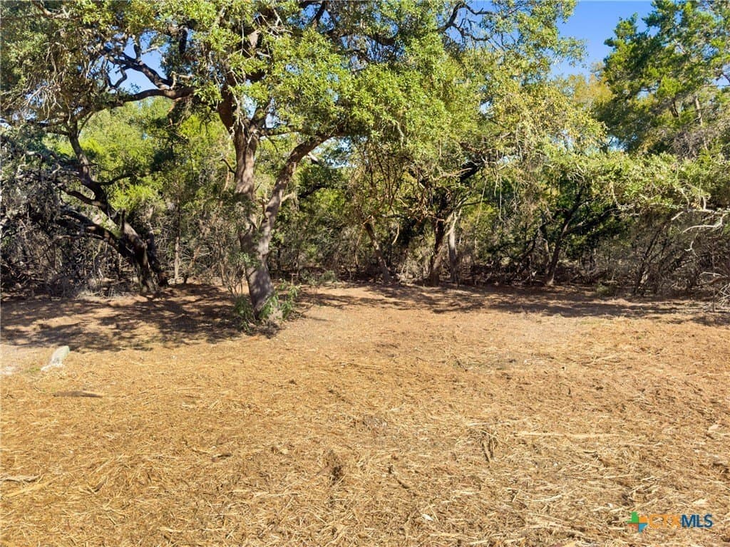 1.17 acres in Comal County - photo 3