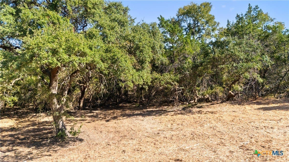 1.17 acres in Comal County - photo 21