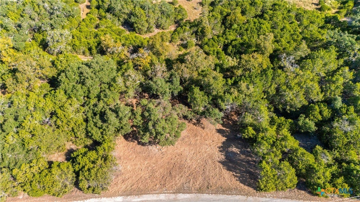1.17 acres in Comal County - photo 19