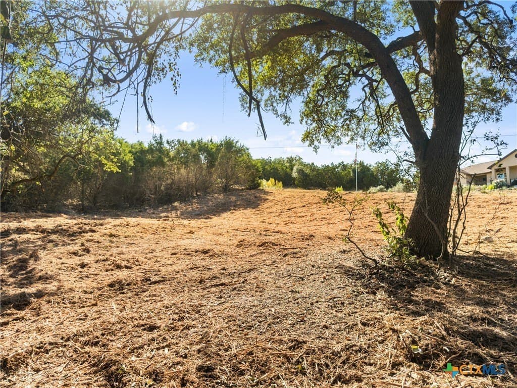 1.17 acres in Comal County - photo 9