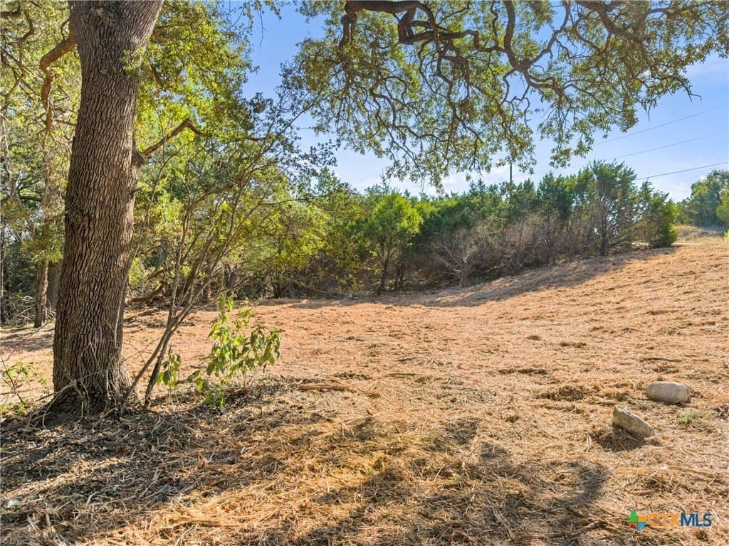 1.17 acres in Comal County - photo 8