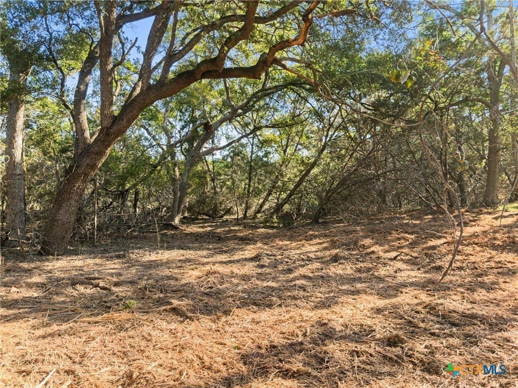 1.17 acres in Comal County - photo 4