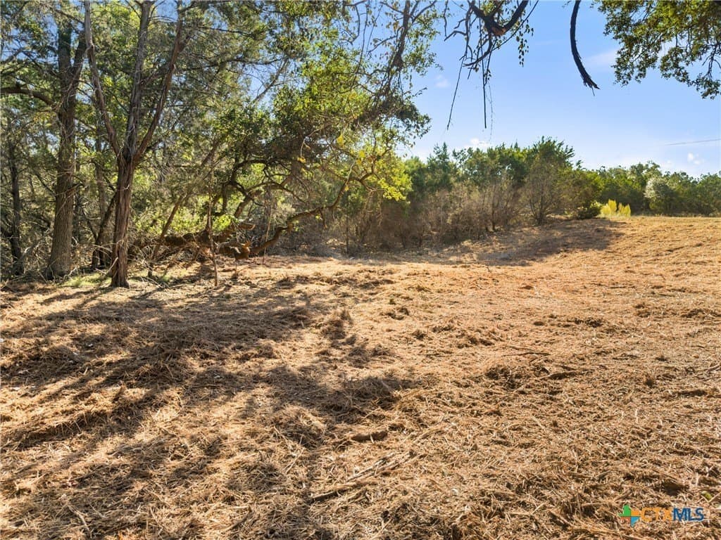 1.17 acres in Comal County - photo 10