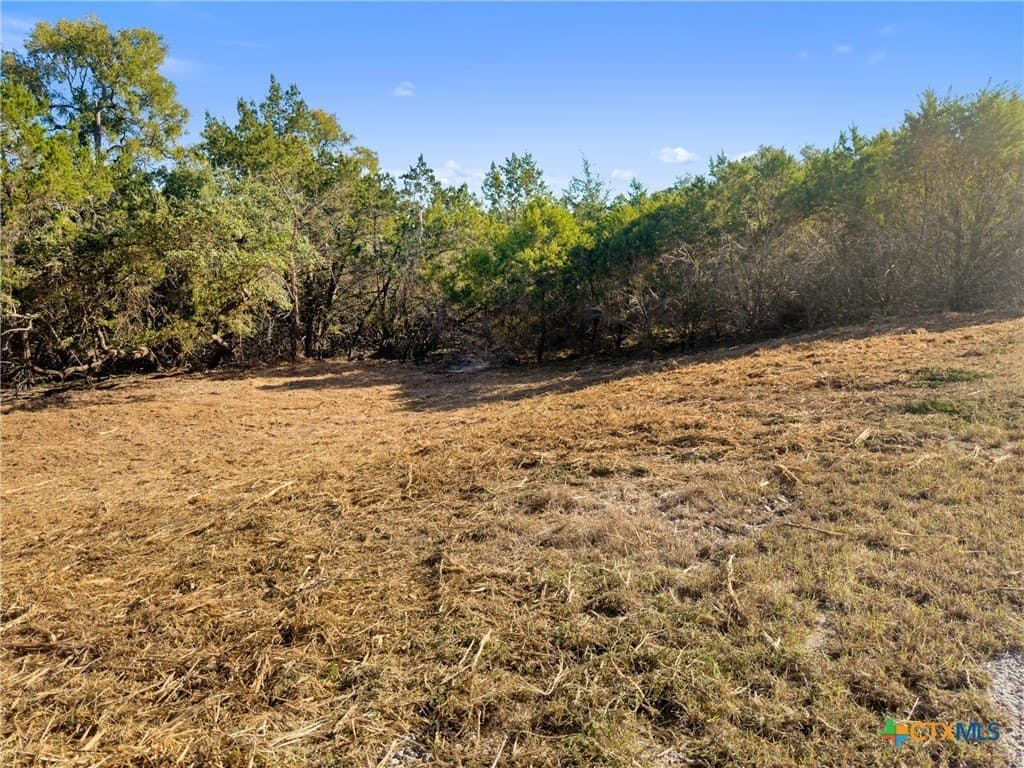 1.17 acres in Comal County - photo 15