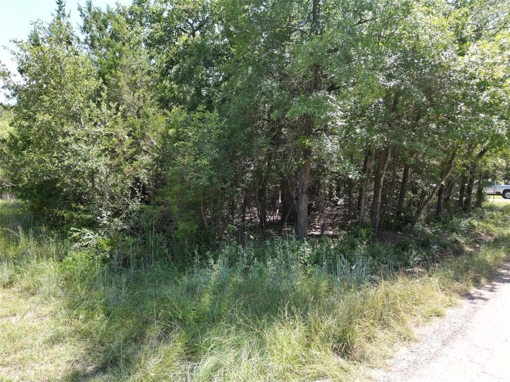 0.04 acres in Hood County - photo 5