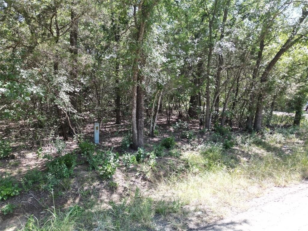 0.04 acres in Hood County - photo 4