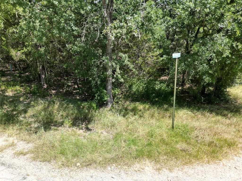 0.04 acres in Hood County - photo 3