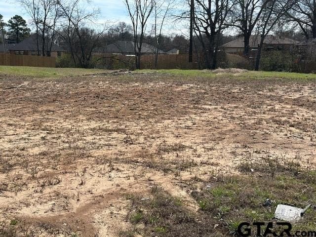 0.29 acres in Titus County - photo 2