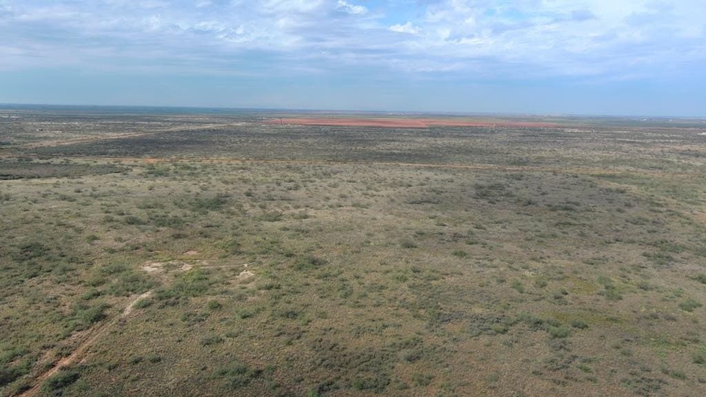 40 acres in Midland County - photo 7