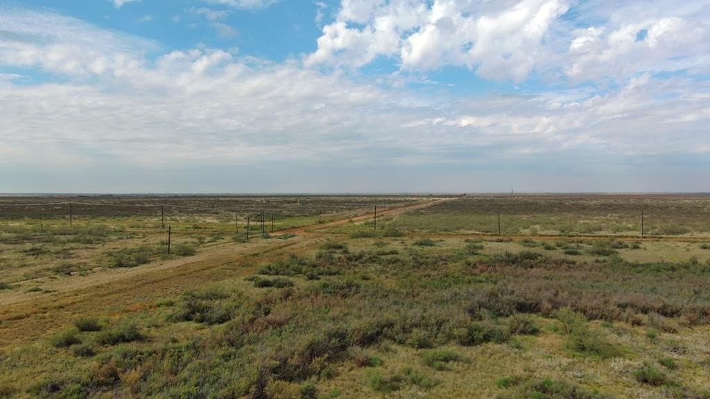 40 acres in Midland County - photo 12