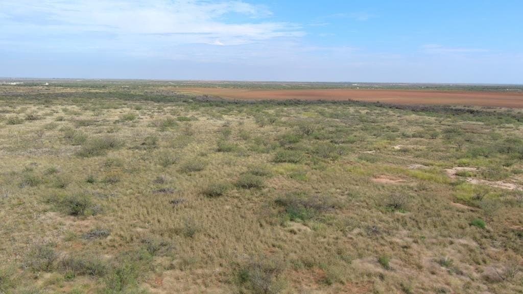 40 acres in Midland County - photo 8