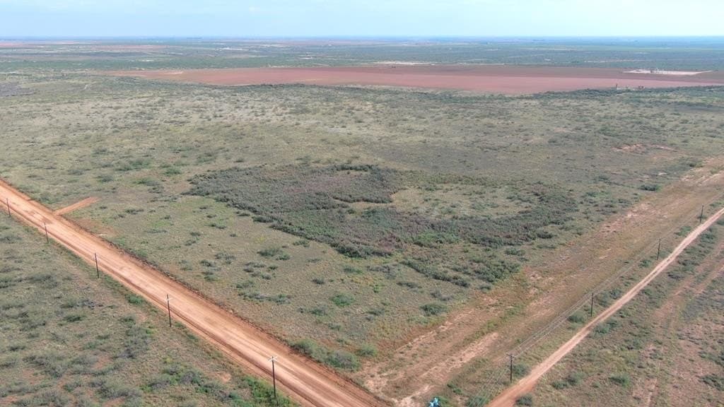 40 acres in Midland County - photo 4