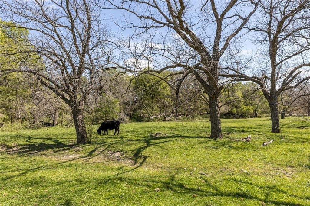 56.81 acres in Erath County - photo 10