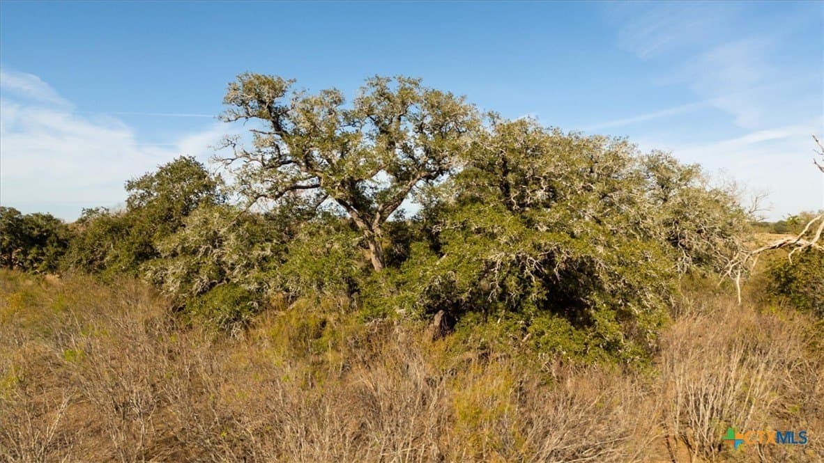 61.91 acres in Caldwell County - photo 20