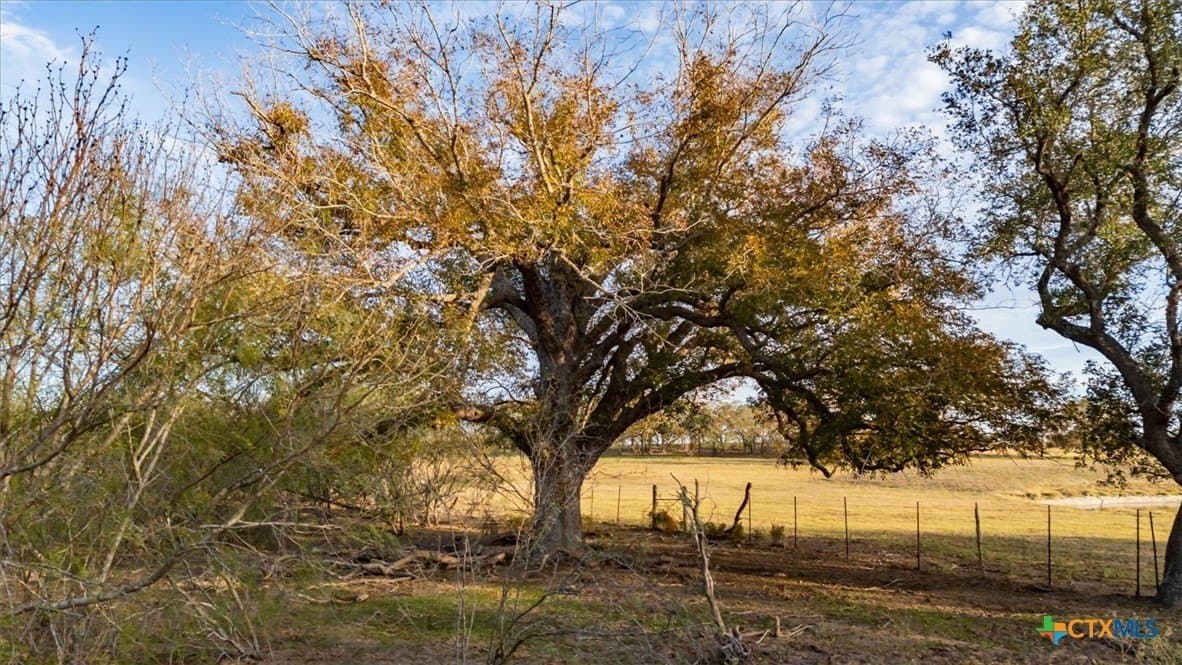 61.91 acres in Caldwell County - photo 26