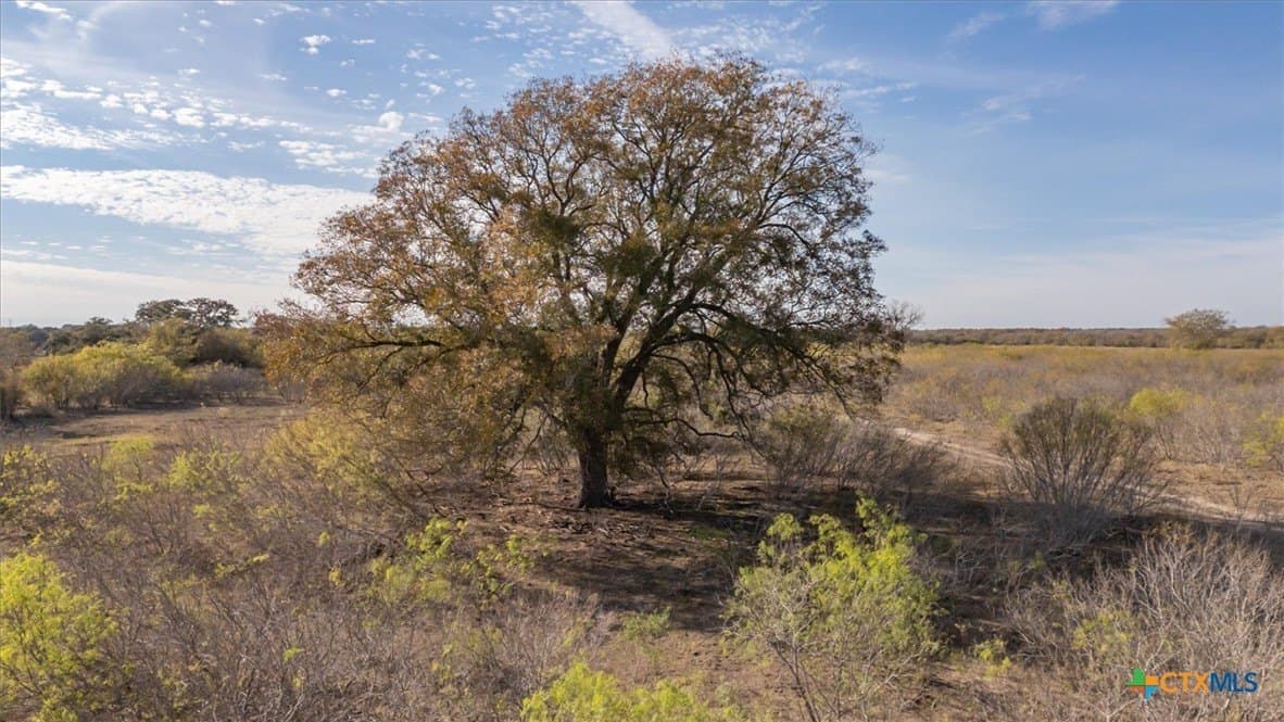 61.91 acres in Caldwell County - photo 21