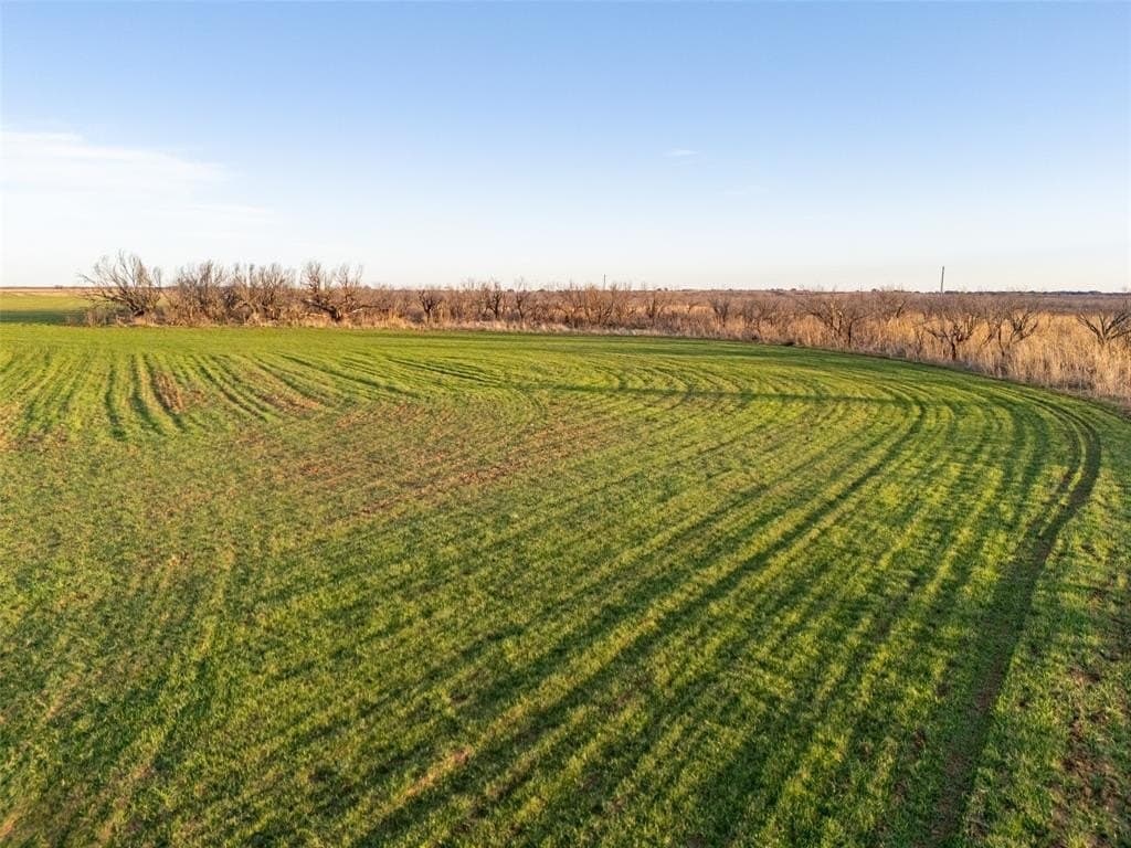 320 acres in Young County - photo 22
