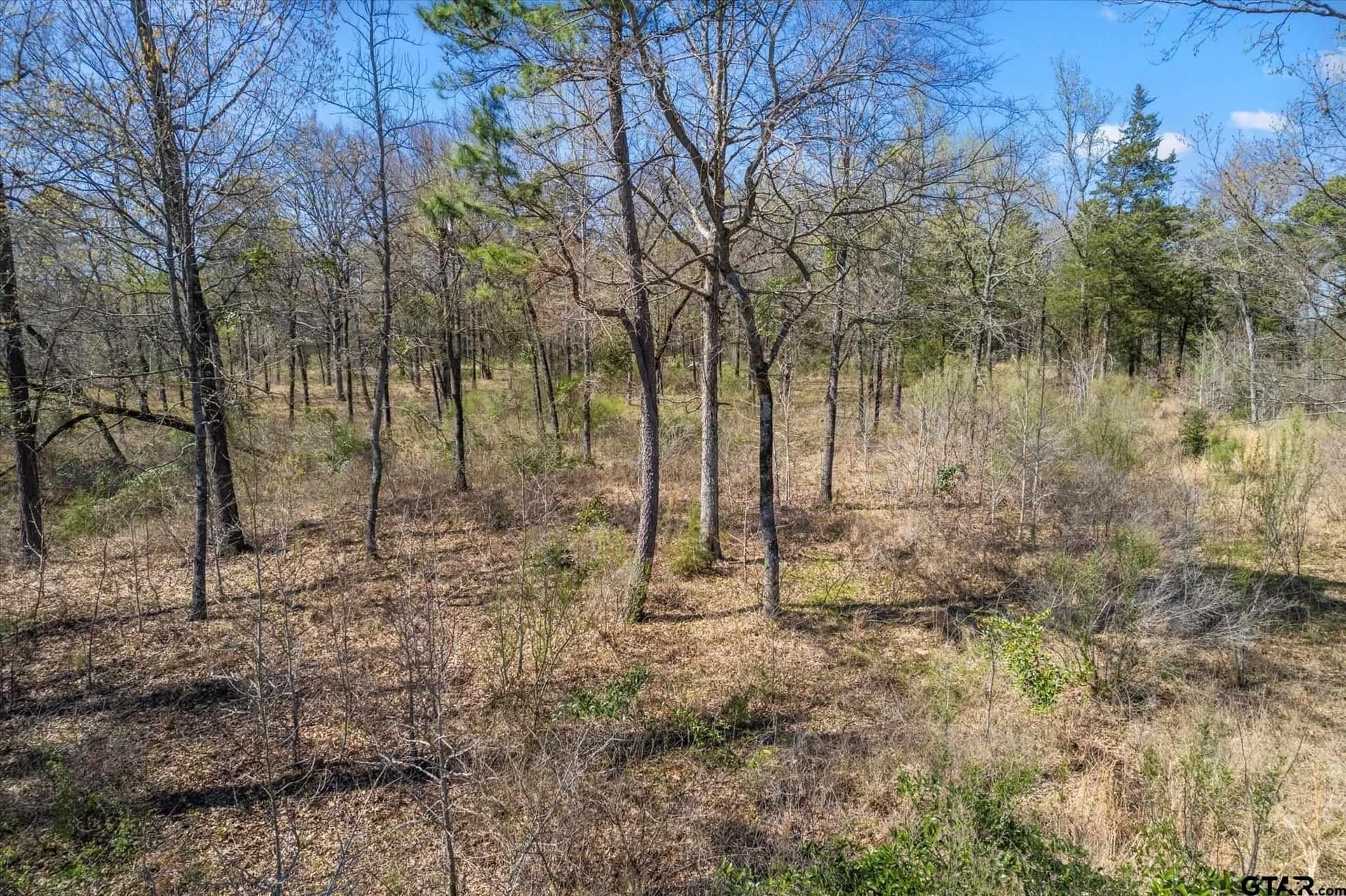 1.06 acres in Camp County - photo 30