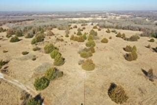 36.55 acres in Wise County - photo 5
