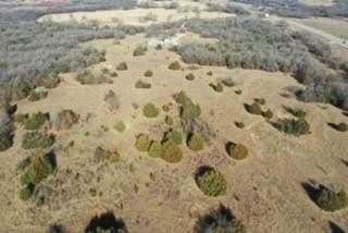 36.55 acres in Wise County - photo 18