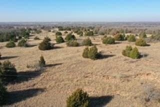 36.55 acres in Wise County - photo 7