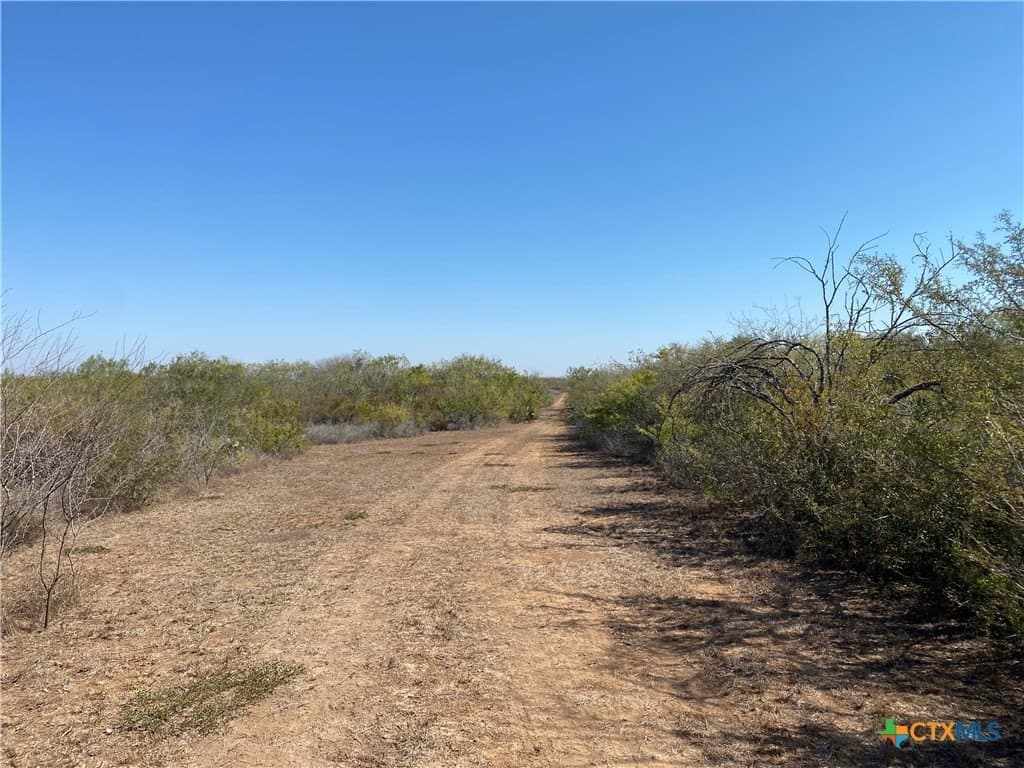 27.65 acres in Jim Wells County - photo 5