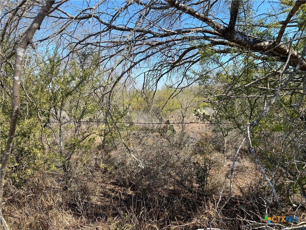 27.65 acres in Jim Wells County - photo 2