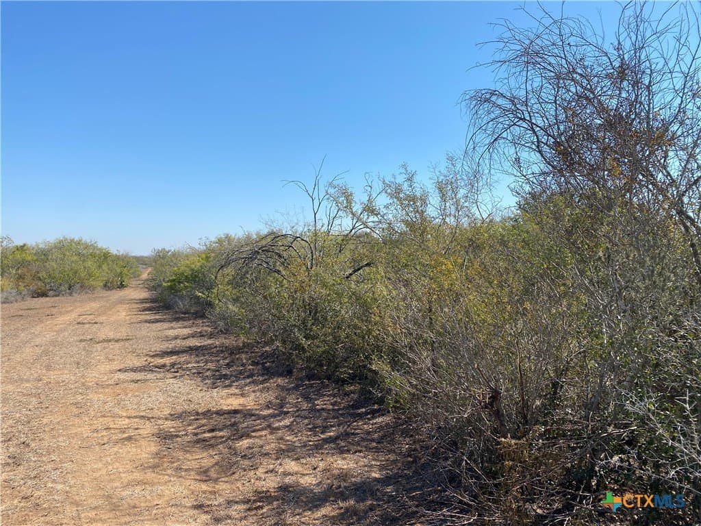 27.65 acres in Jim Wells County - photo 4