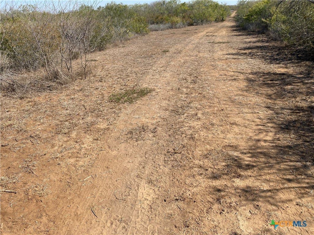 27.65 acres in Jim Wells County - photo 3