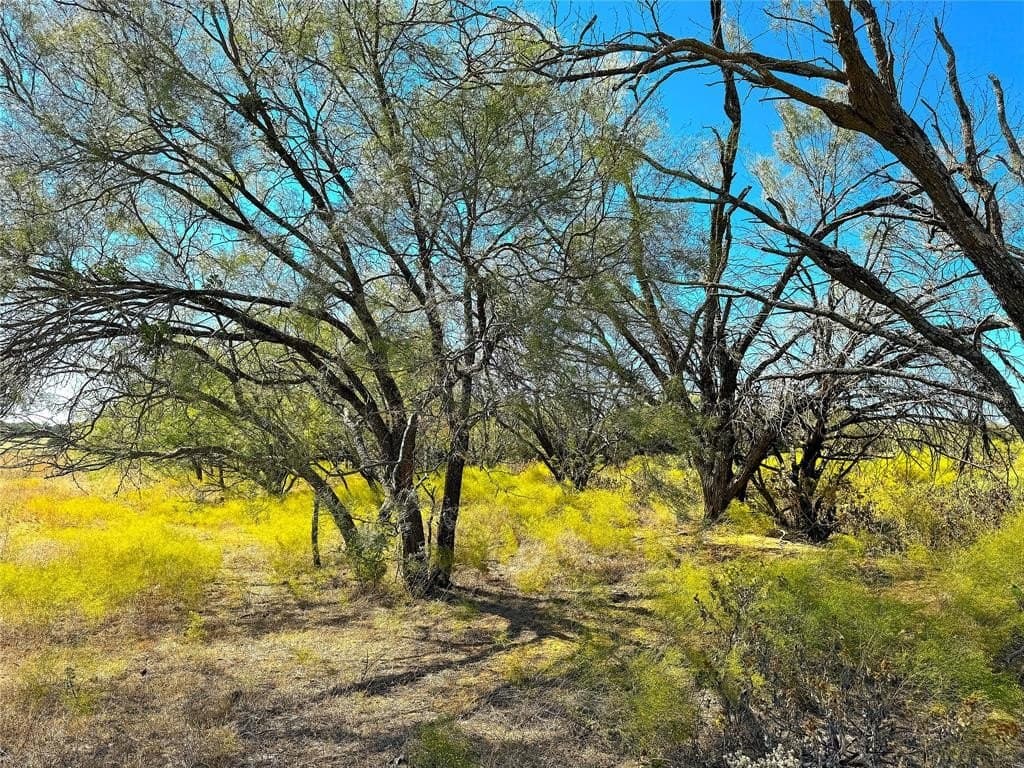 5 acres in Palo Pinto County - photo 18
