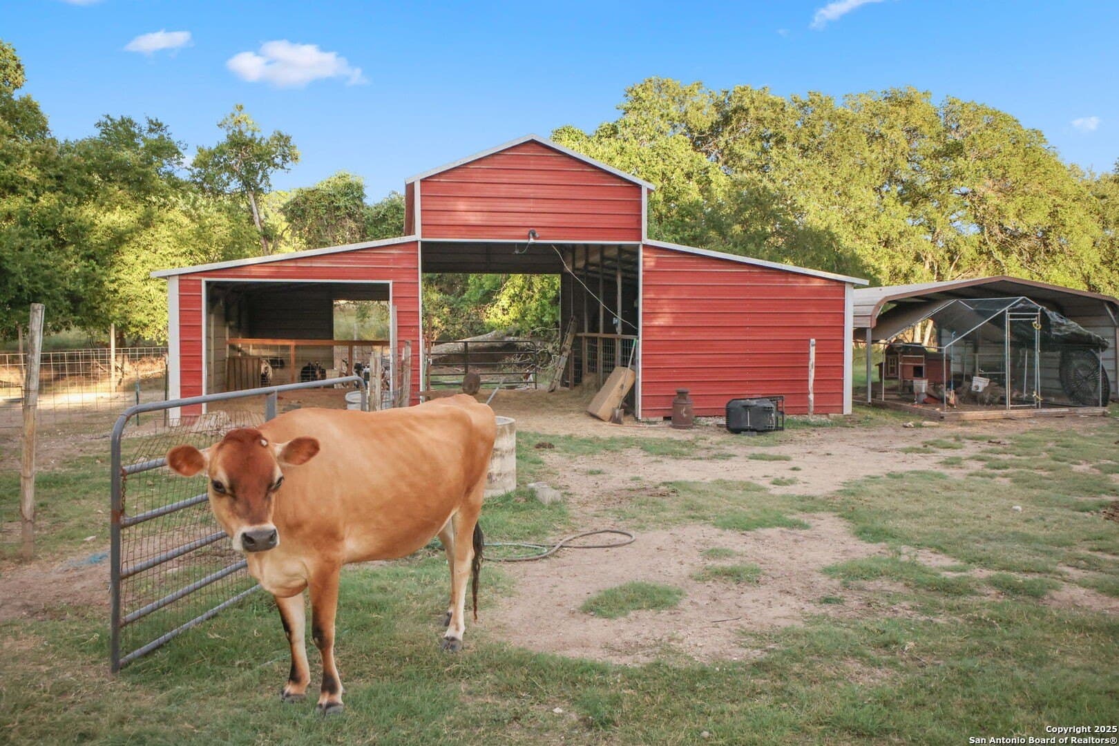 13.07 acres in Kendall County - photo 3