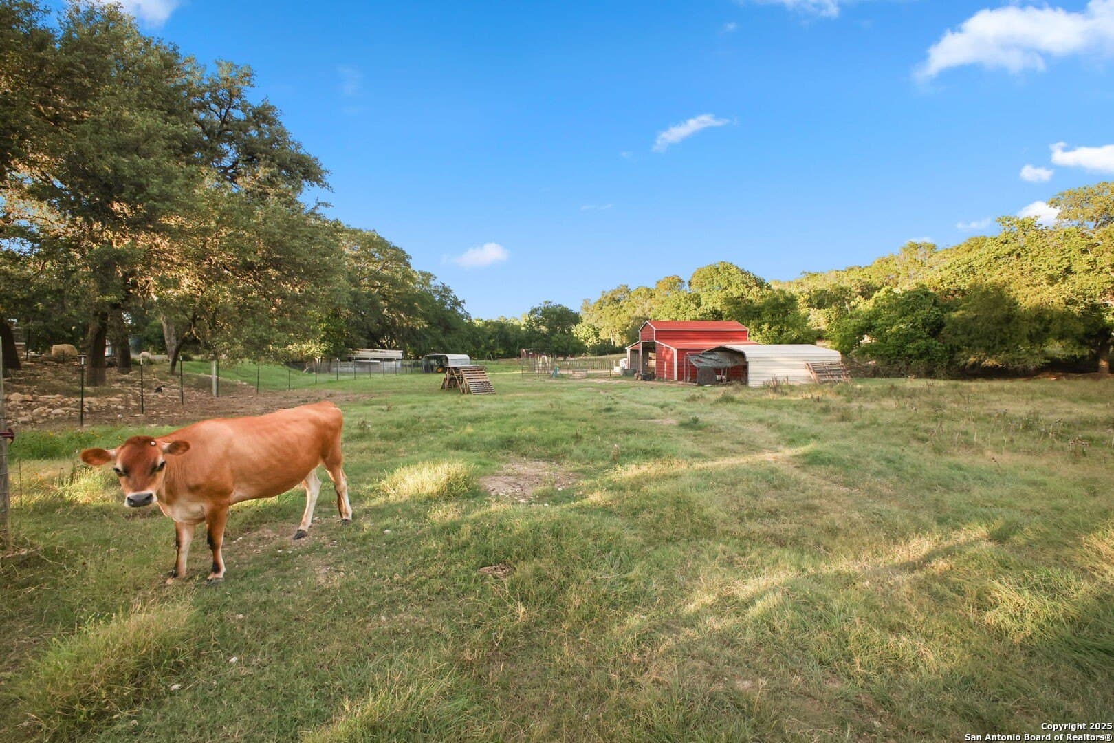 13.07 acres in Kendall County - photo 7