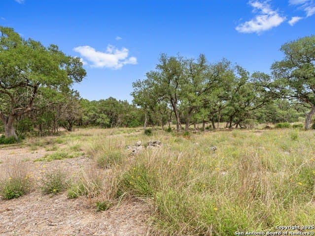 23.99 acres in Hays County - photo 8