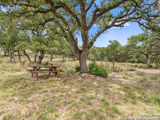 23.99 acres in Hays County - photo 10