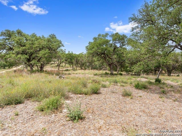 23.99 acres in Hays County - photo 9