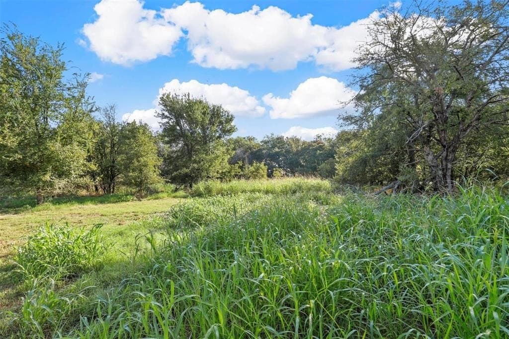 2.91 acres in Parker County - photo 10
