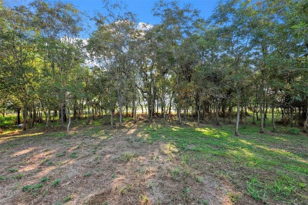 2.91 acres in Parker County - photo 12