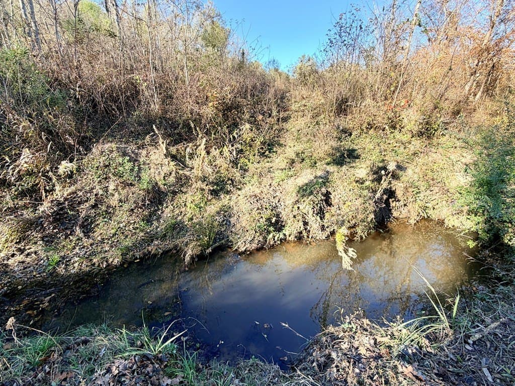 19.97 acres in Texas County - photo 5