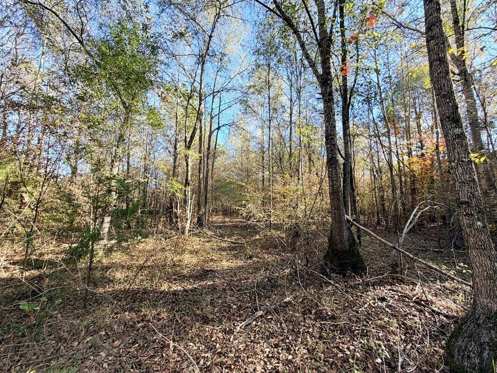 19.97 acres in Texas County - photo 12