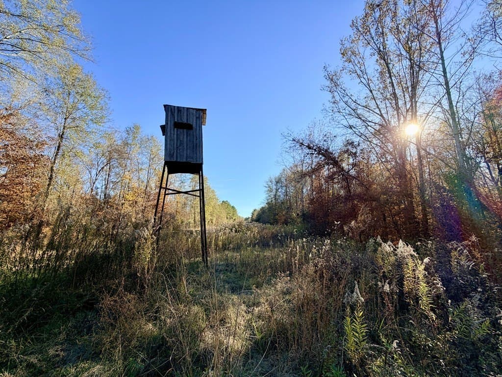 19.97 acres in Texas County - photo 2
