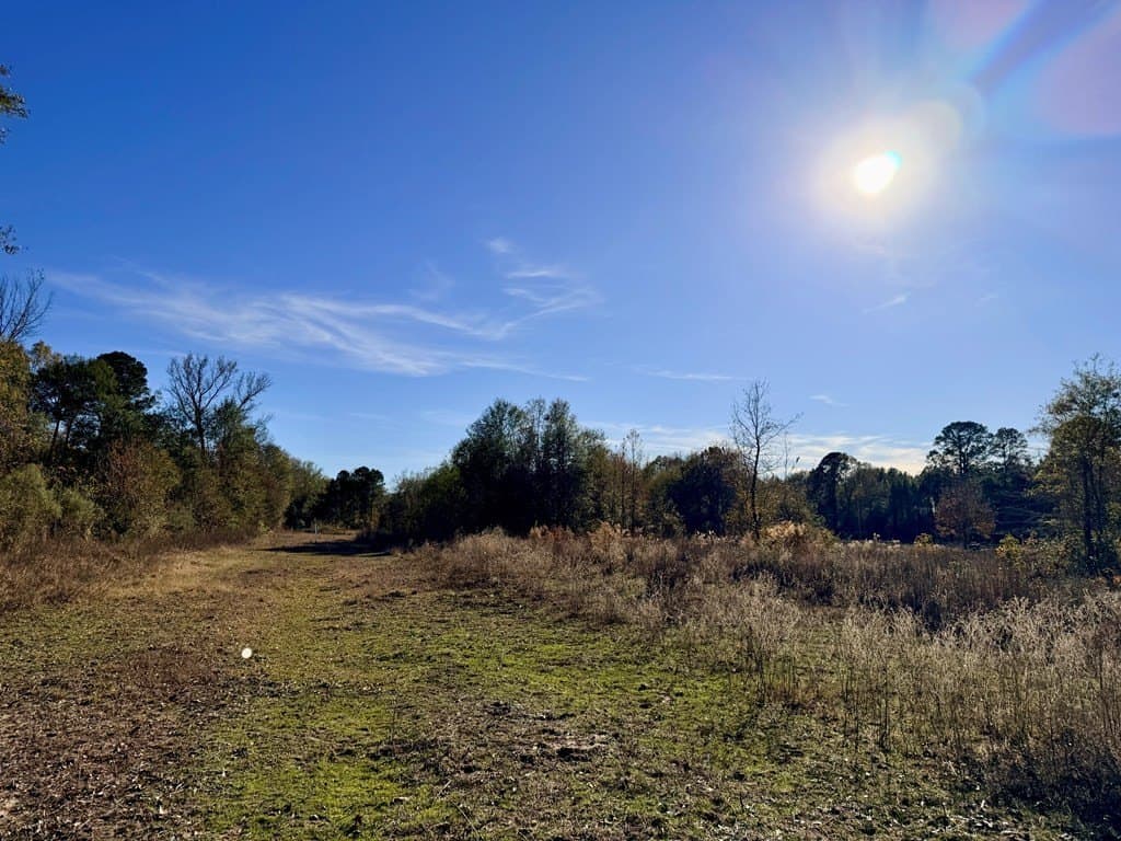 19.97 acres in Texas County - photo 15